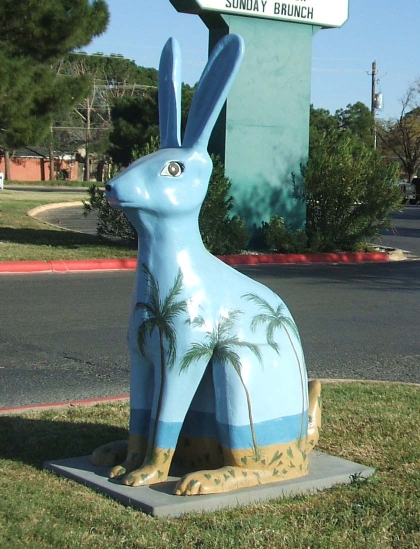 Freedom At 51 Rabbits Rabbits Rabbits