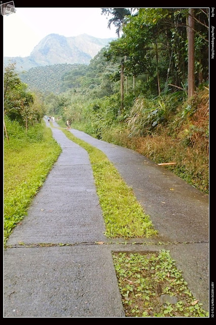 雲林古坑華山-小天梯情人橋