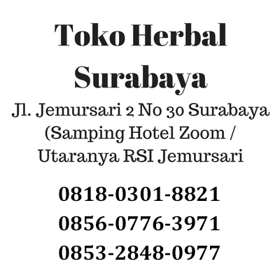 Alamat Toko Herbal di Surabaya