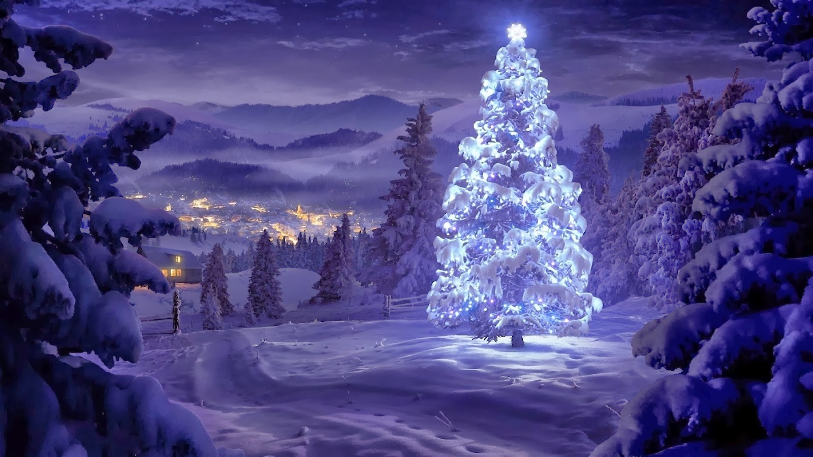200+ Latest Concepts of Christmas Tree : Very Hight ...