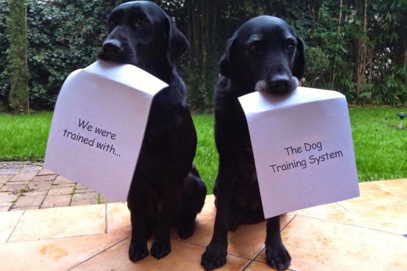 The Dog Training System