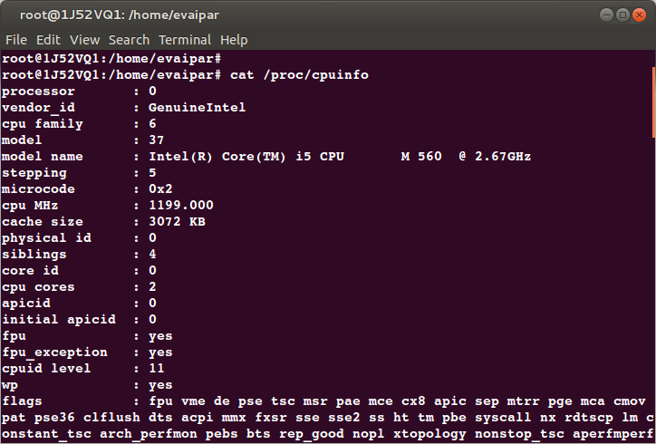 the power of proc file system in linux coding is cool linux file system types