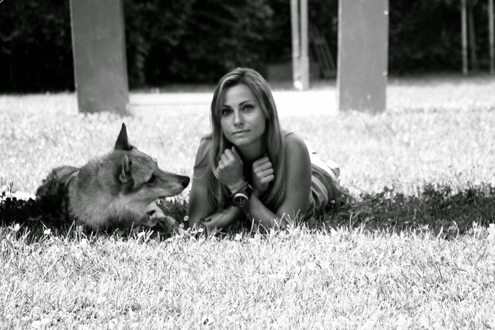 La confidenza lenta: gennaio 2015 Recinto creativo Cane