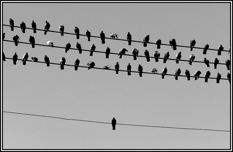 come si dice da solo / da soli in spagnolo?