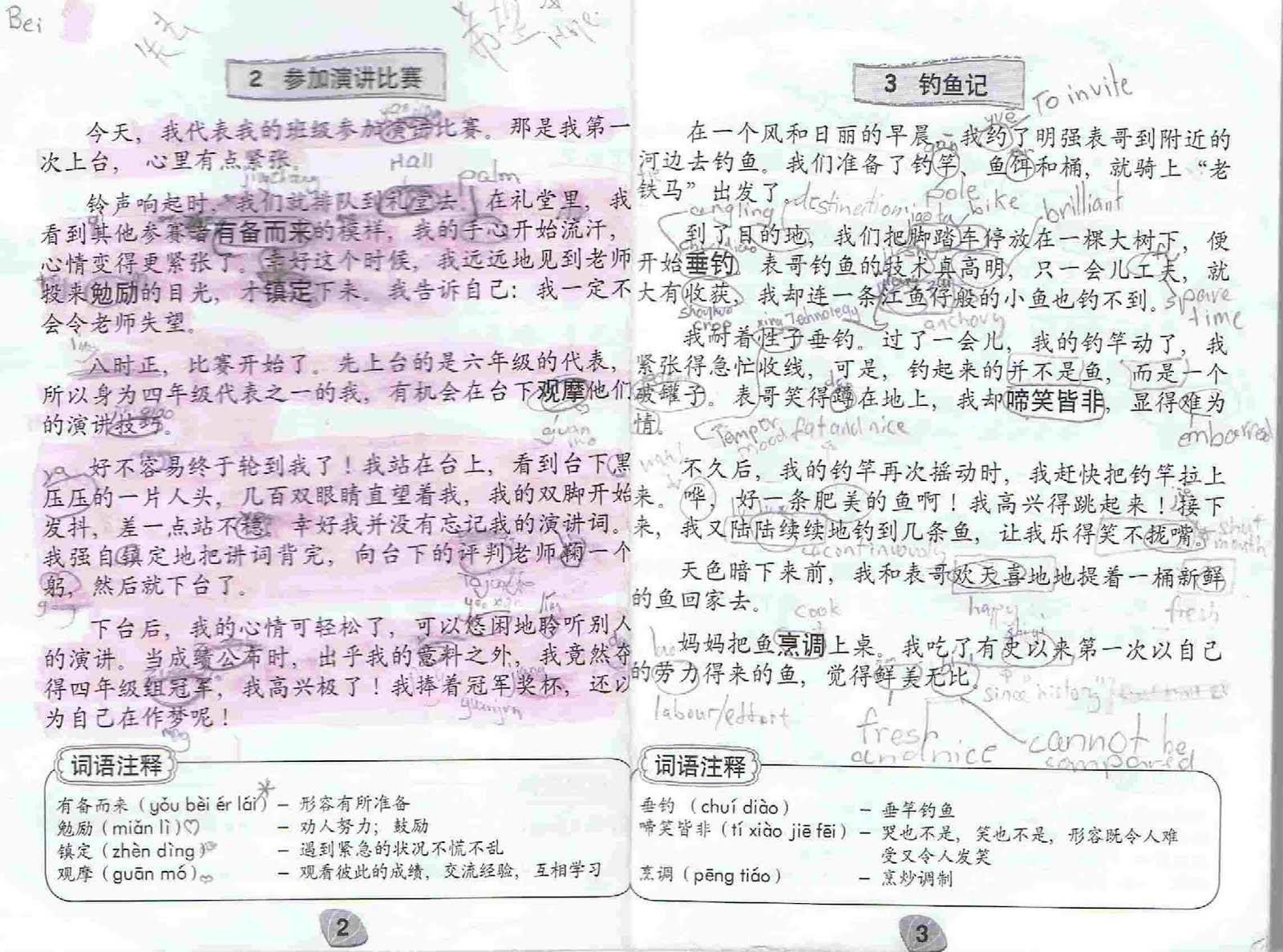 Chinese essay sample primary 5