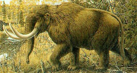 diferencia entre el mastodonte y el mamut diferencia entre el mastodonte y el mamut