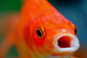 [http://2.bp.blogspot.com/-ismN6s21dko/U4JnSb1yIzI/AAAAAAAAAPk/QVoErzPBC9w/s1600/001.jpg]