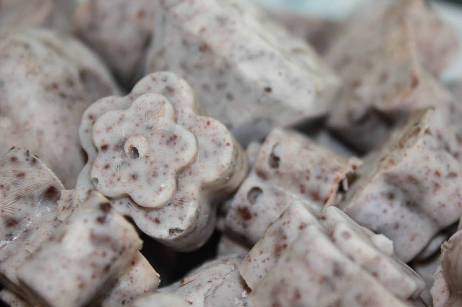 Stacie Michelle Monday Munchies Double ChocMint Protein Shake & CHObites