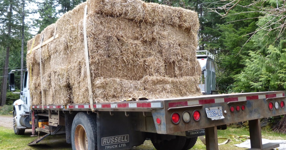 A Donkey Diary: Straw delivery!