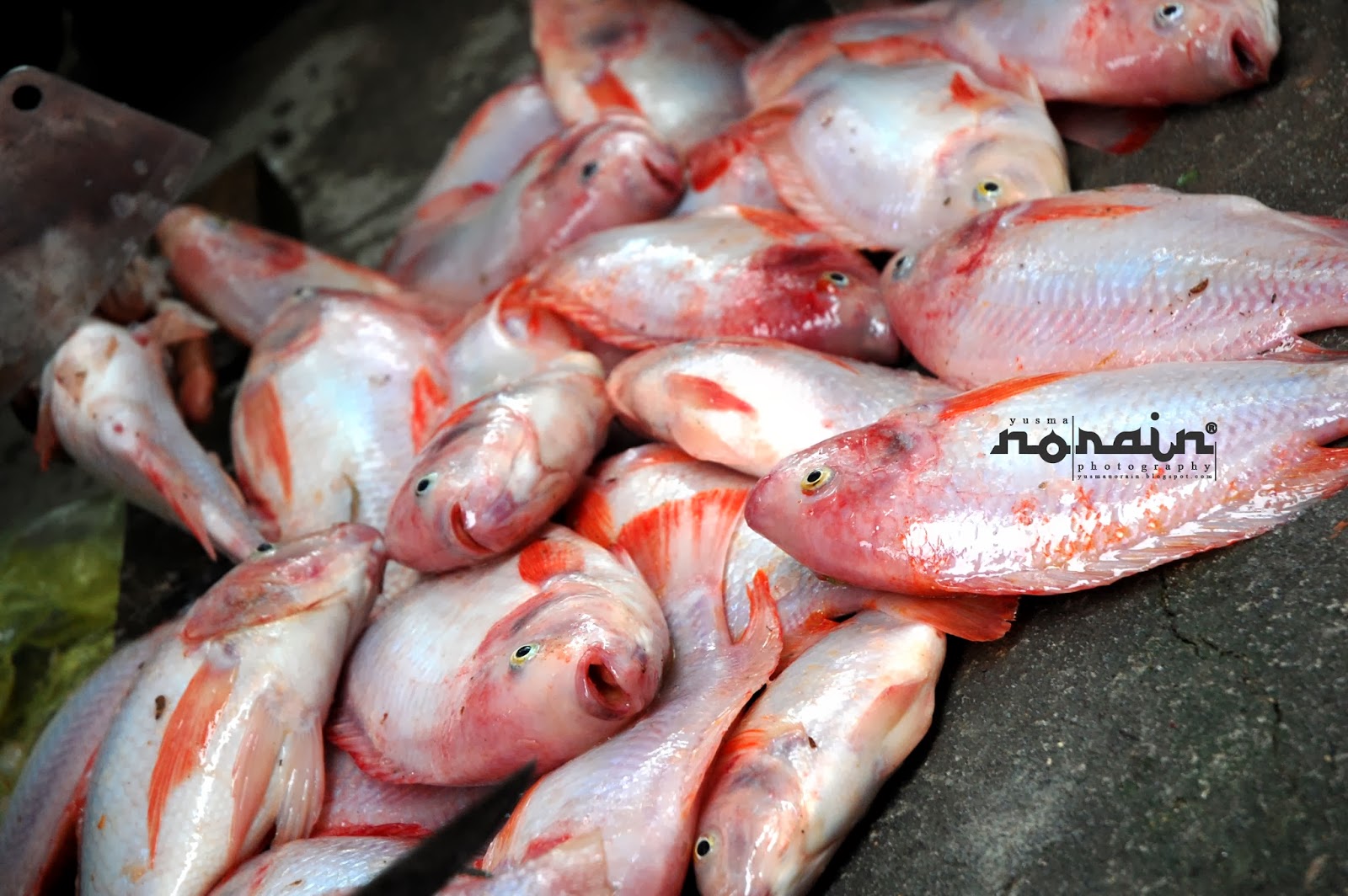 Ikan Talapia Bakar Di Homestay Kg. Beng Ikan Talapia Bakar Di Homestay Kg. Beng