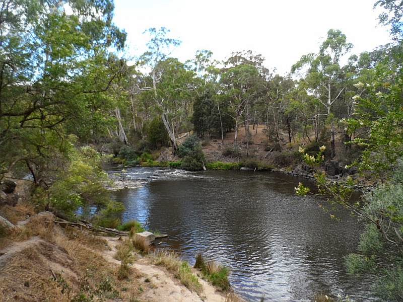TRACKS, TRAILS AND COASTS NEAR MELBOURNE Laughing Waters Bushland