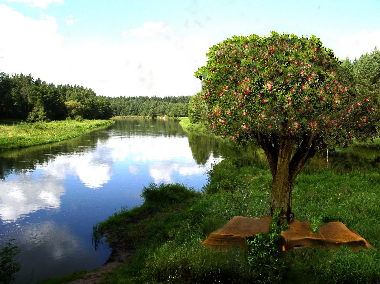 tree by the river bible tree by the river bible