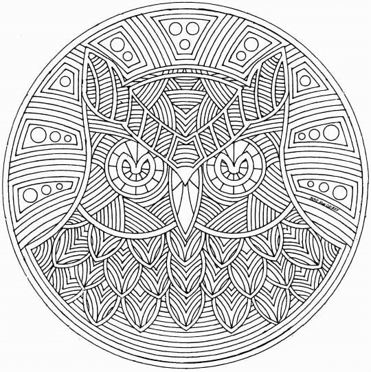 bird mandala free printable coloring pages coloring.filminspector.com