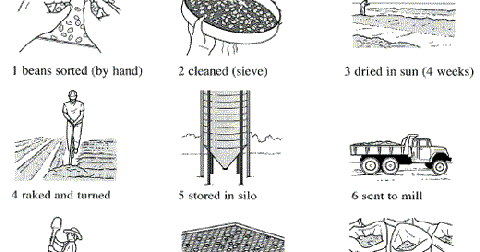 Consumerism essay ielts picture