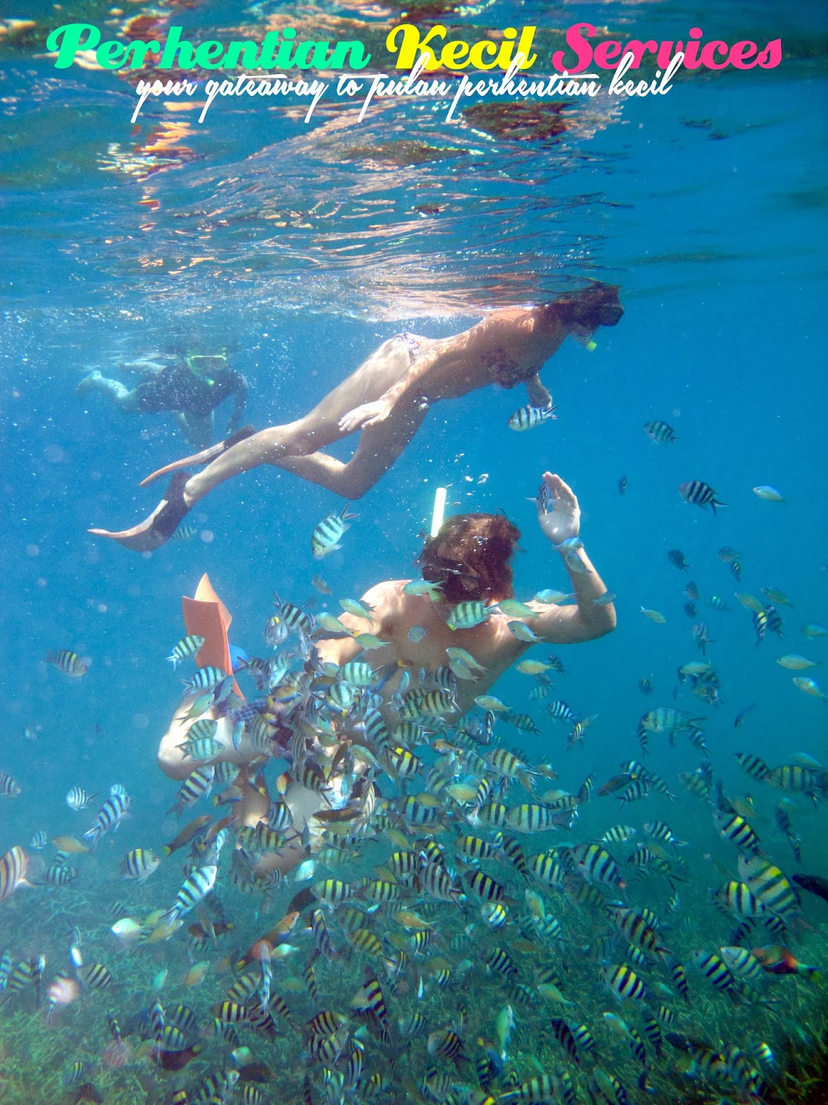 snorkeling di Pulau Perhentian Kecil pakej snorkeling 3 hari 2 malam pulau perhentian, pakej bajet pulau perhentian, pakej percutian pulau perhentian, pakej murah percutian perhentian, perhentian kecil services, pulau malaysia