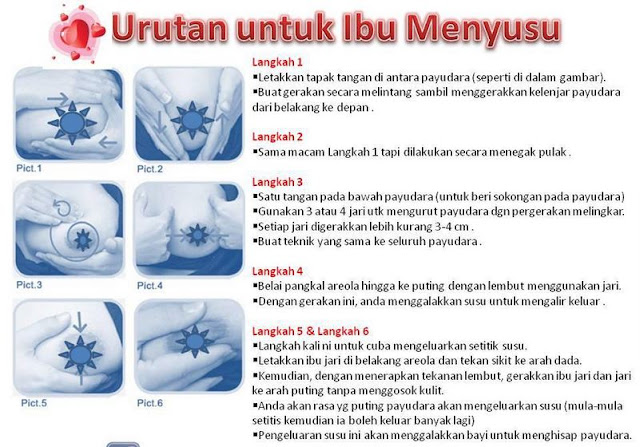 urutan tambah susu badan urutan payudara banyakkan susu badan