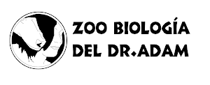 Ver Zoo Biologia del DR. Adam online
