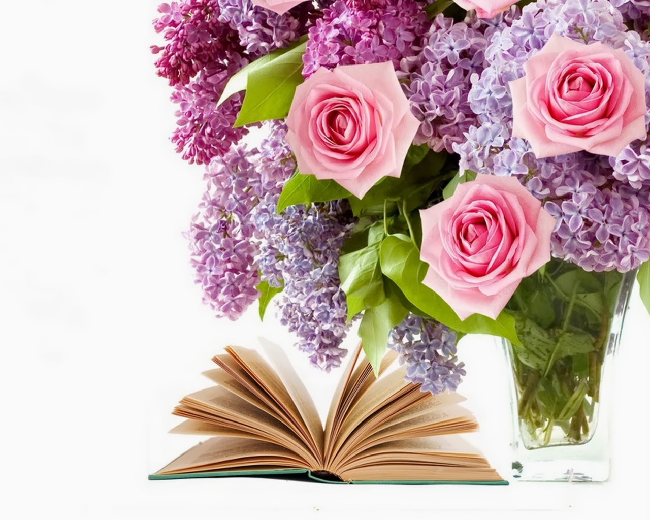 Flower desktop wallpapers - Beautiful wallpapers collection 2014