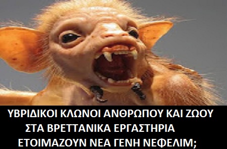Αποτέλεσμα εικόνας για Κλωνοι ζωων και ανθρωπων