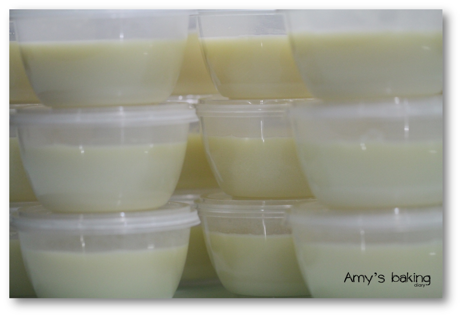 Amy Baking Diary Soy Bean Pudding