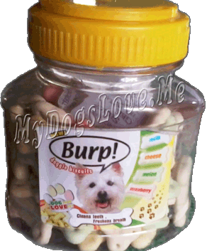 burp dog treats