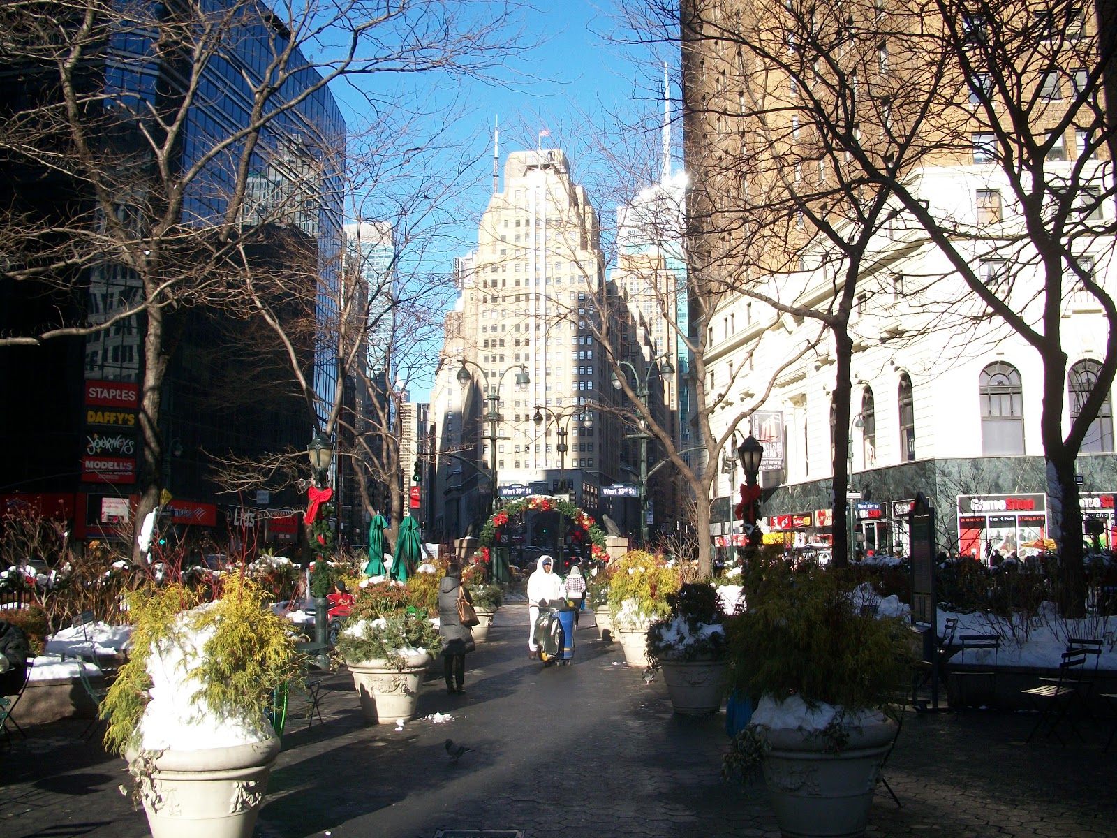 ship geting paid chef cruise