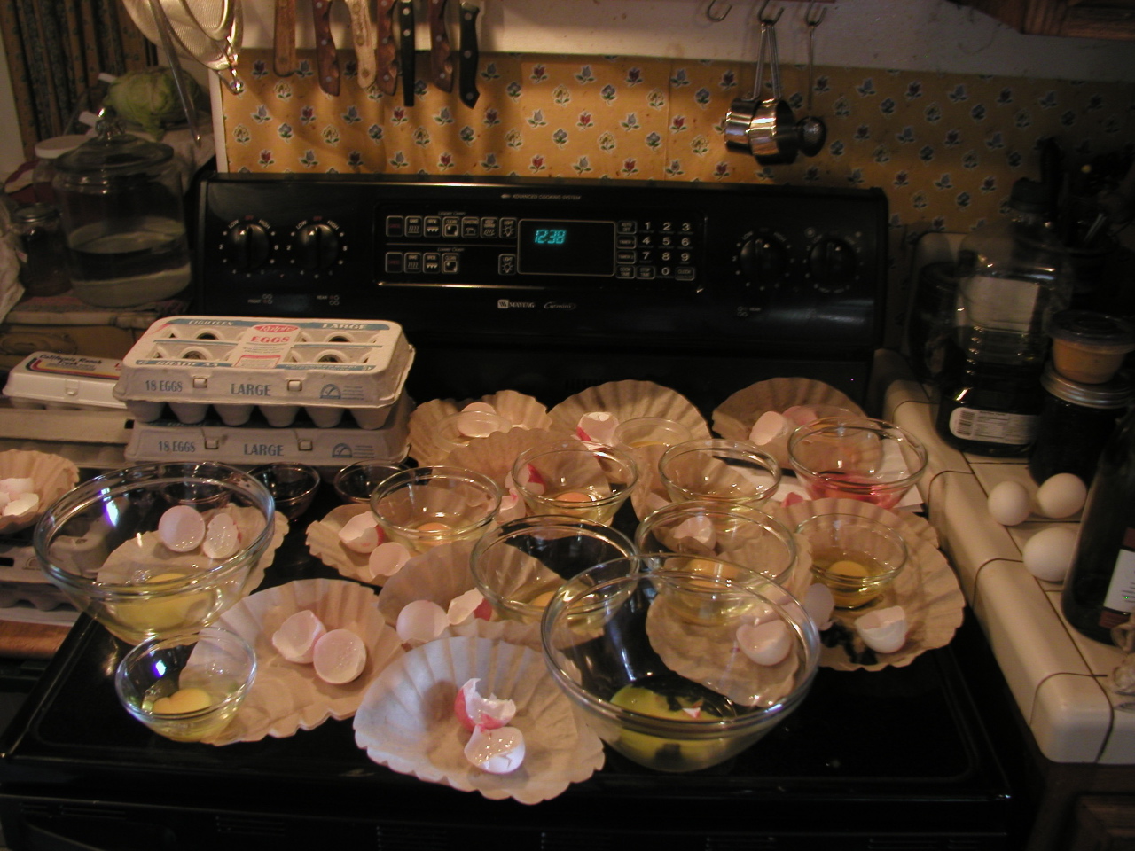 Eggs, eggs and more eggs: a Long Beach Unified School District Science Fair project