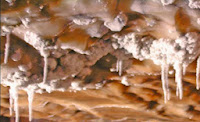 Khewra-salt-mine-roof