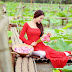 Hà Nội tháng 6 nồng nàn