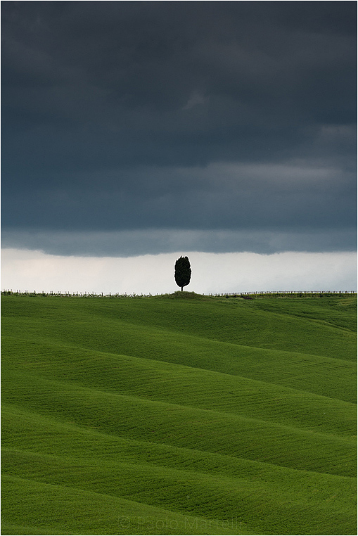 Emerging Photographers, Best Photo of the Day in Emphoka by Paolo Martelli Emerging Photographers, Best Photo of the Day in Emphoka by Paolo Martelli