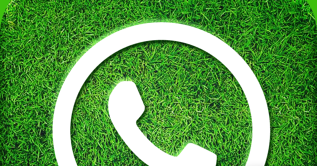 Article Tube: How To Install WhatsApp On Your PC Without Mobile?