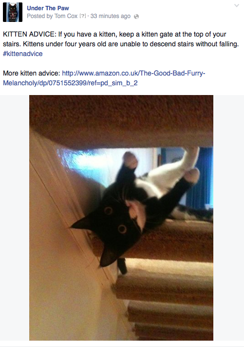 Under The Paw Facebook Where TongueInCheek Humour Goes To Die