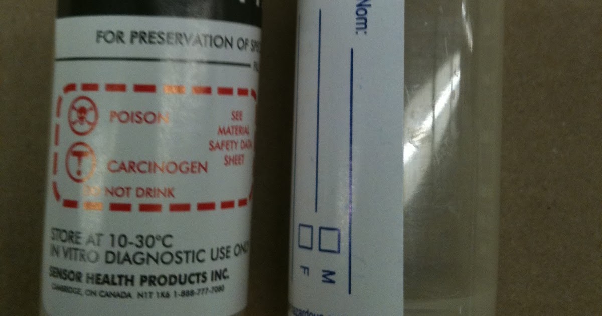 Medical Microbiology Lab Series 7 O&P examination of Stool Samples