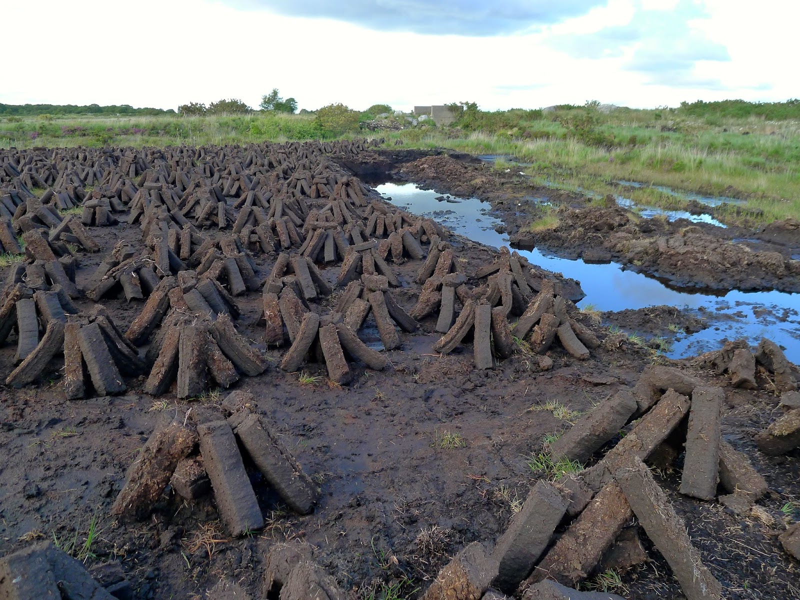 Come What May My Three Irish Obsessions