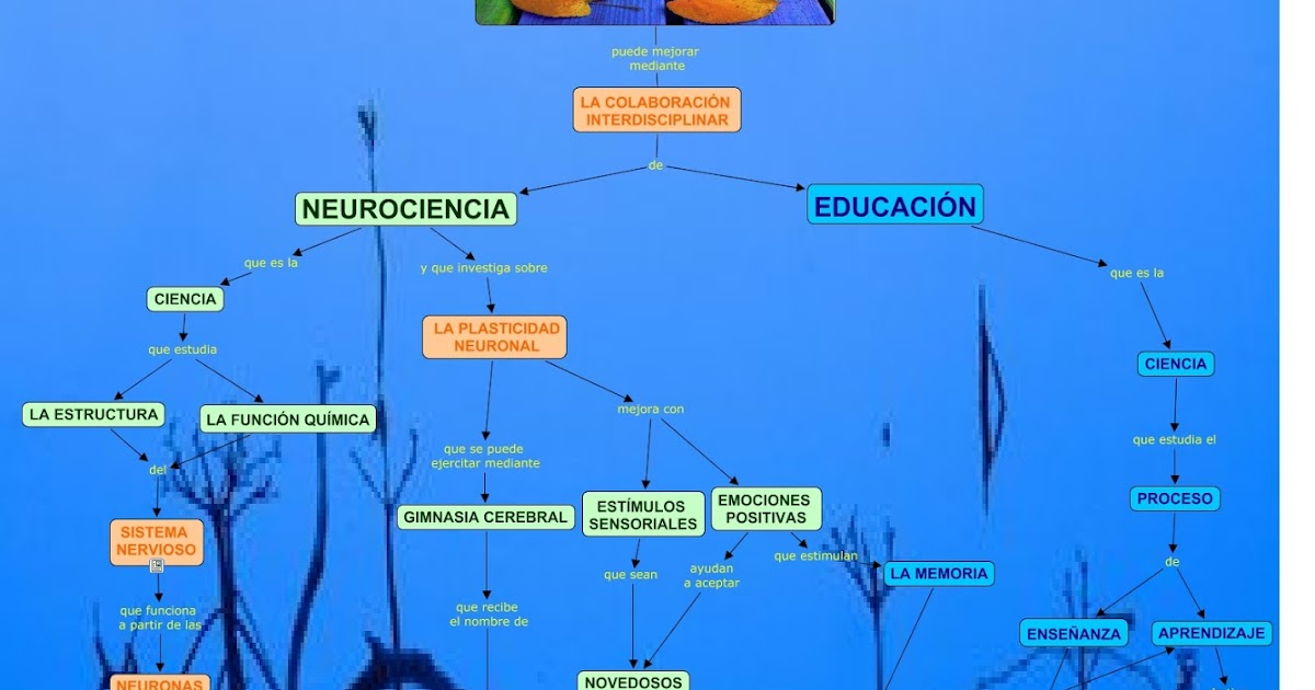 que es aprendizaje significativo en educacion fisica que es aprendizaje significativo en educacion fisica