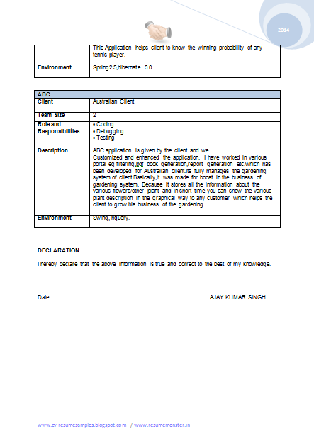 resume declaration format