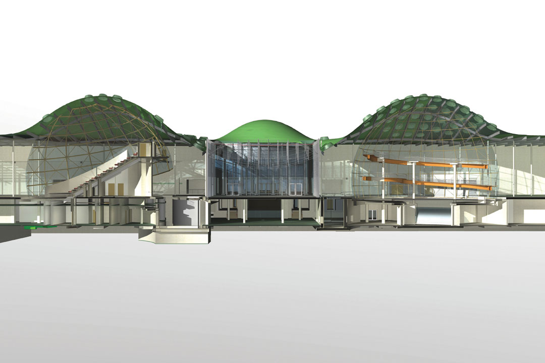 Main Materials Of California Academy Of Science Building Main Materials Of California Academy Of Science Building