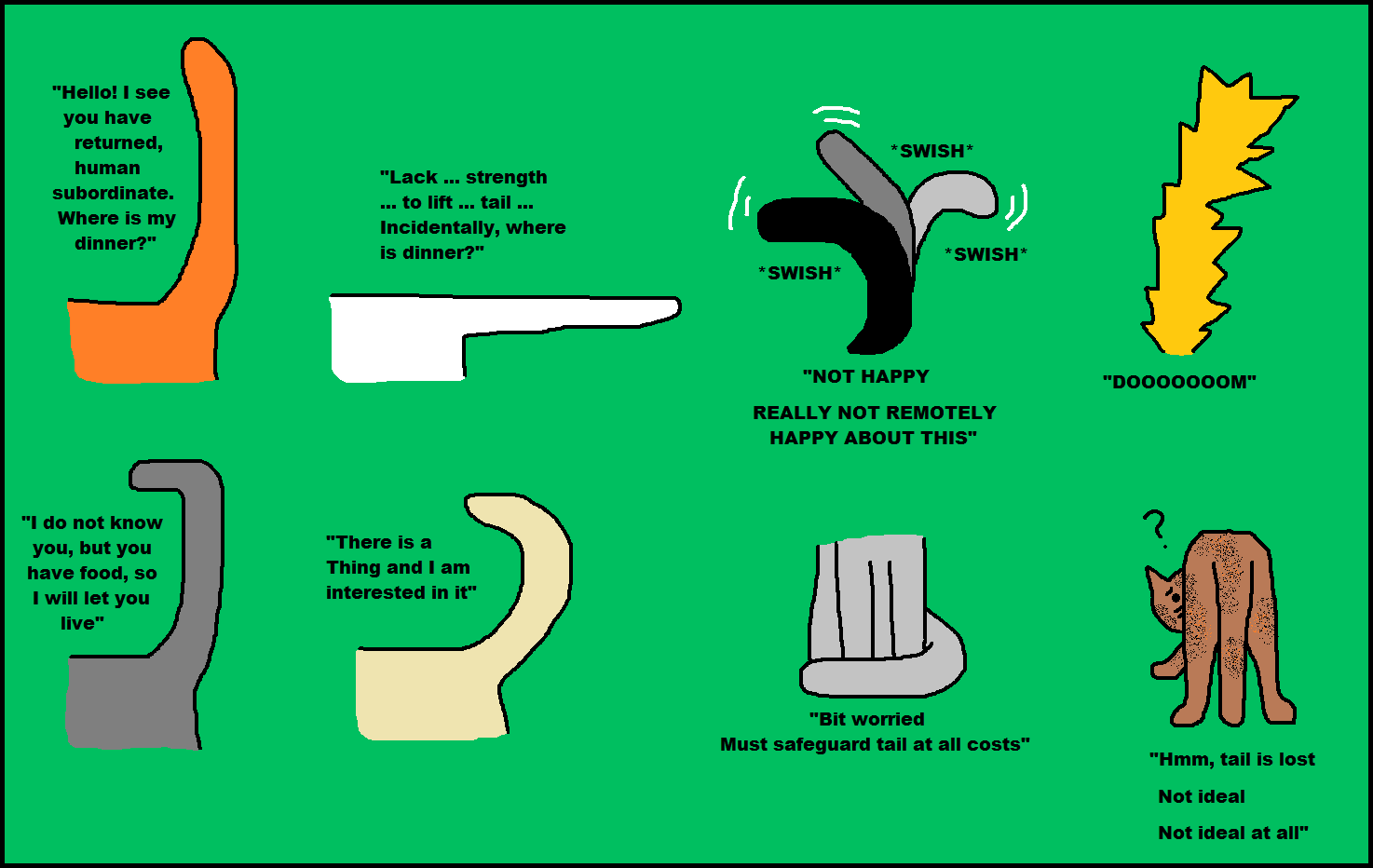 cat tail quiver meaning cat tail quiver meaning