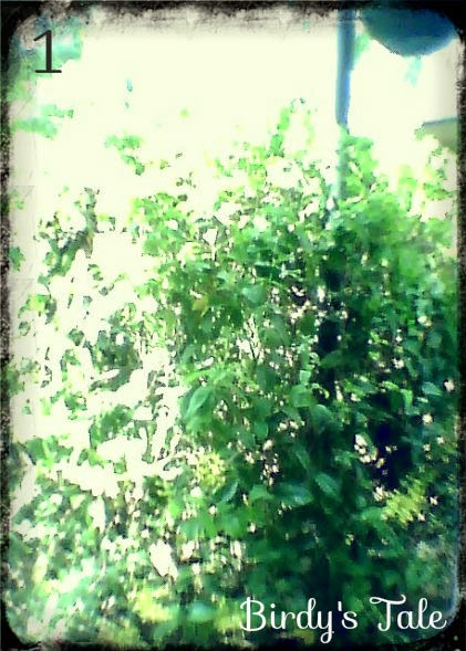 shop три взгляда