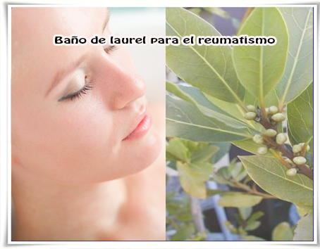 Baño de laurel para el reumatismo Salud y bienestar, remedios naturales, laurel, reumatismo