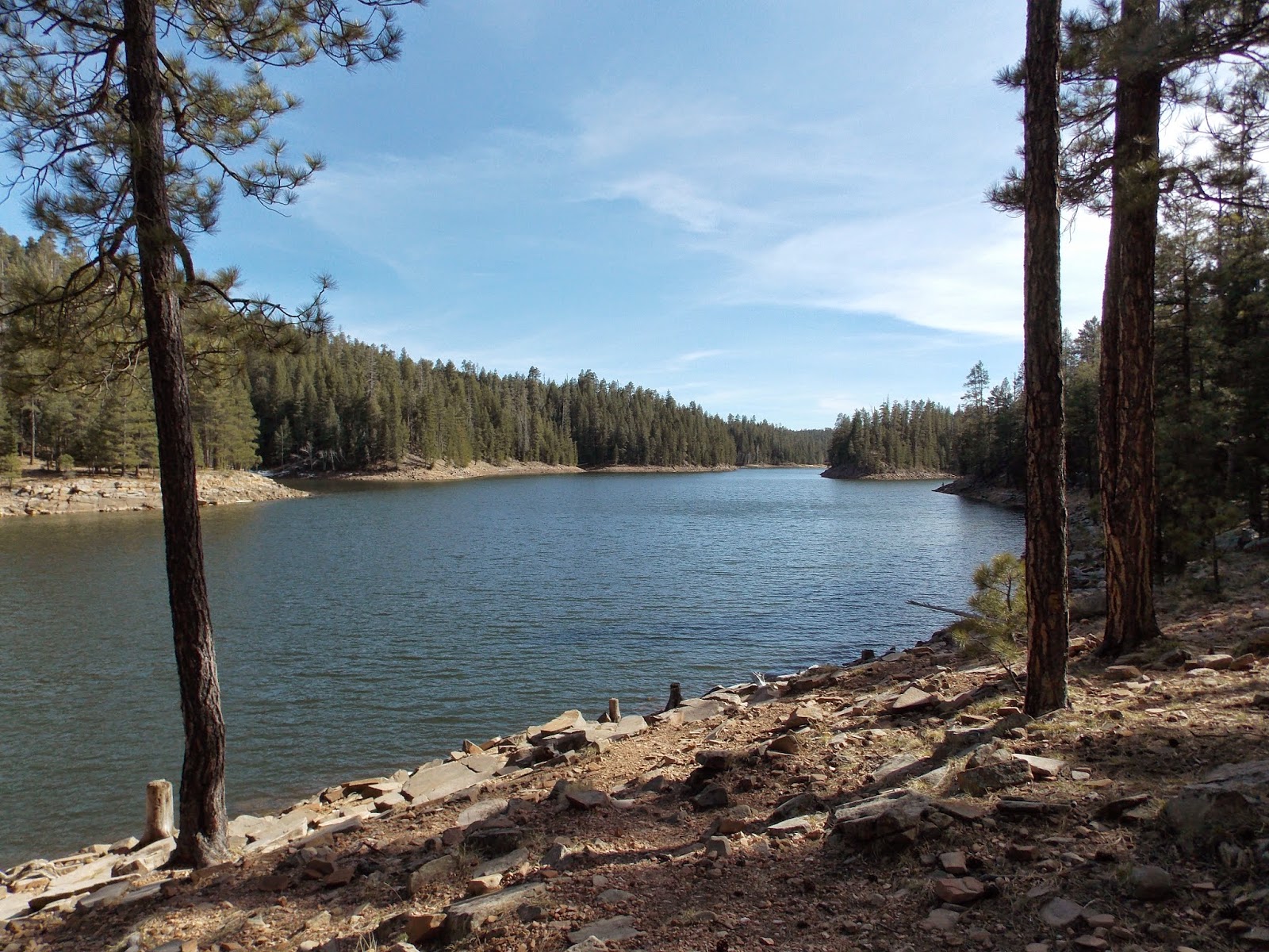 March adventure Knoll Lake, Mogollon Rim Floradise
