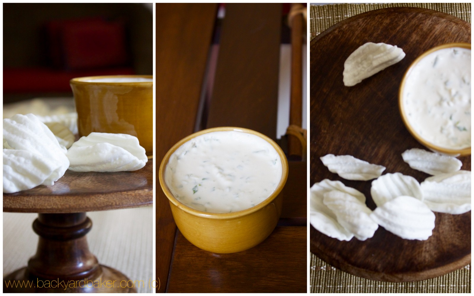 Condiment Series Sour Cream Onion Dip Dip