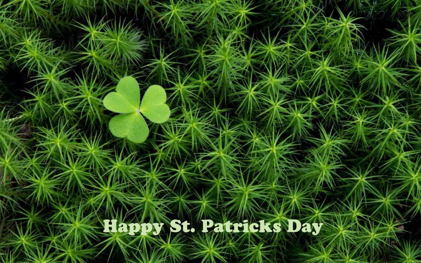 http://2.bp.blogspot.com/-j-Tc-nUtTzg/T5OhEISXBLI/AAAAAAAAIf4/gYQ1wcP9IkQ/s1600/st_patricks_day_wallpaper_wishes_greetings_northern_ireland_christian_religion_festival_jesus(www.picturespool.blogspot.com)_12.jpg