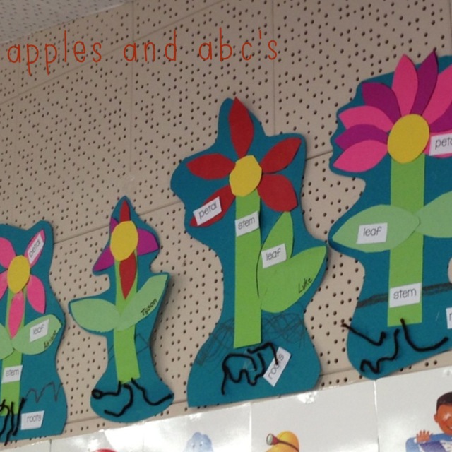 Open House in Kindergarten Apples & ABC's