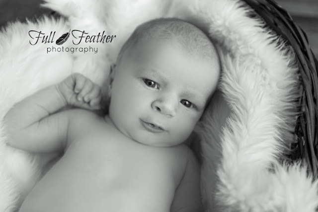 newborn-awake-photography