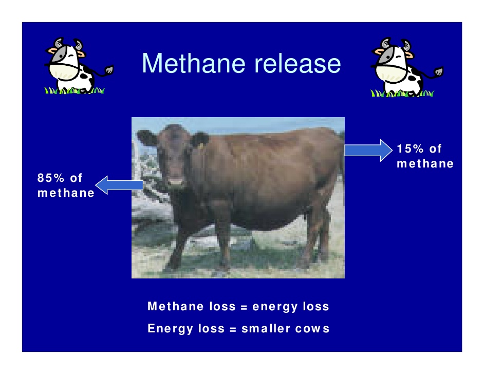 Methane Gas Fart Methane Gas