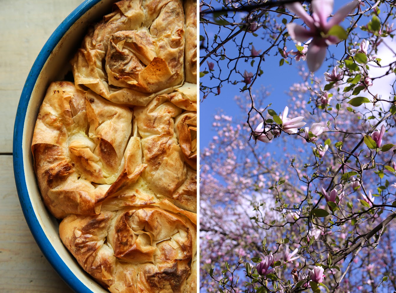 Dolce Fooda Spiral Rolls with Phyllo Dough