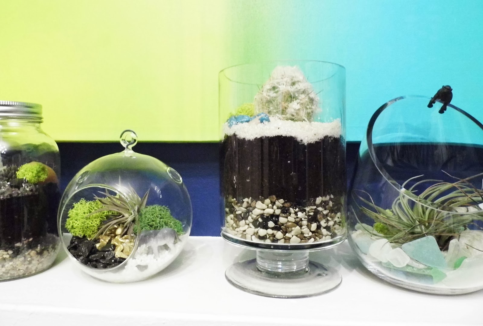 Fresh Coat of Paint "T" is for Terrarium (How to Make a Whimsical
