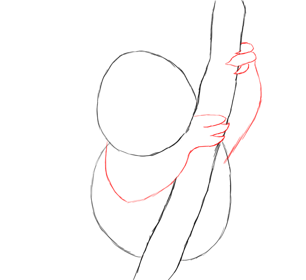 How to draw a koala pencil in stages How to draw a koala pencil in stages