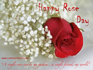 rose day images rose day images